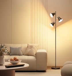 Sibrille Led floor Lamp with remote control $30