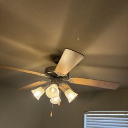 Ceiling Fan Color Maple..