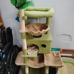 Indoor Playground Cat $30
