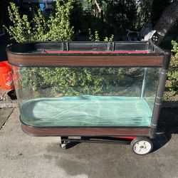 60 Gallons Curved Glass Wave Reef-Ready Fish Tank Aquarium. 