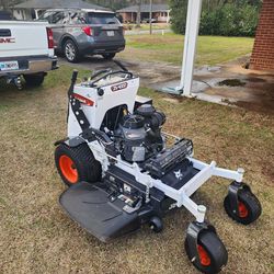 Bob cat stand on 36” cut