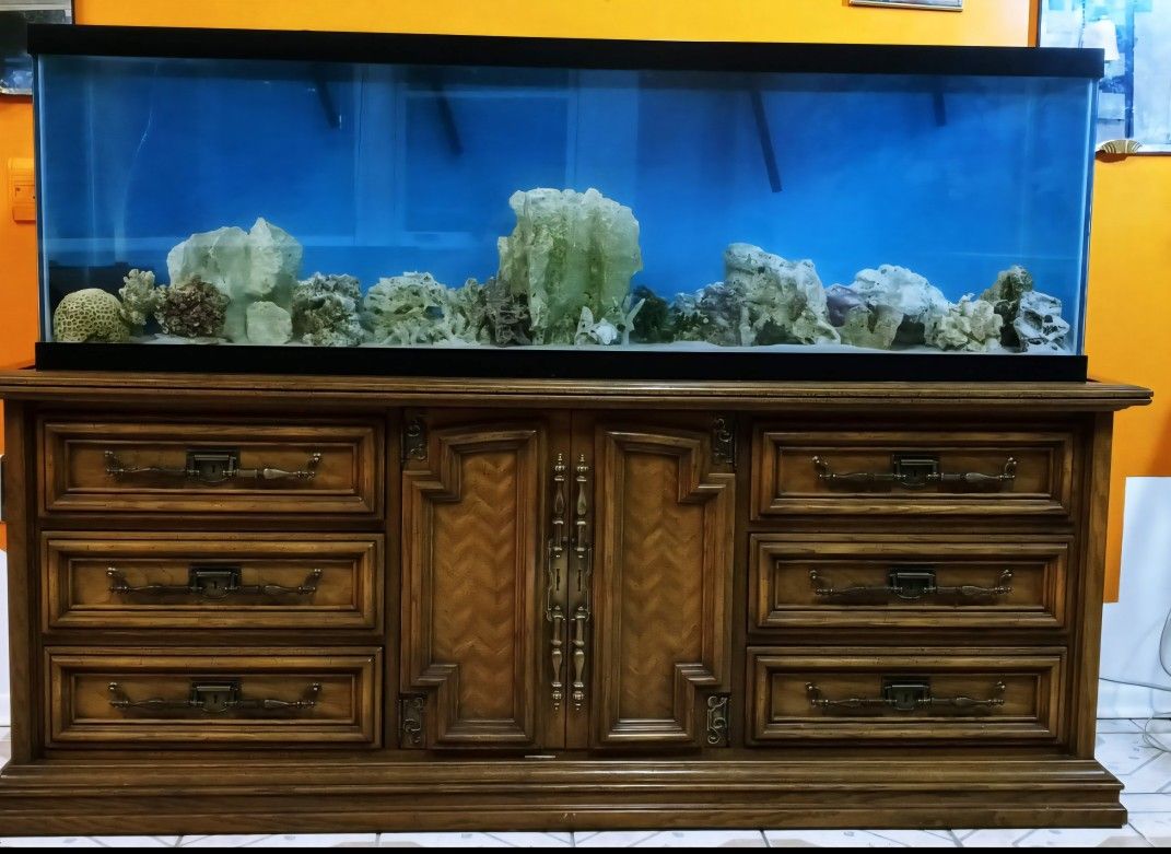 Fish Tank