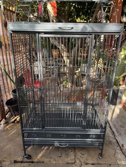 Bird Cage