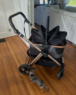 PET stroller