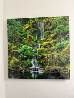 Peter Lik art