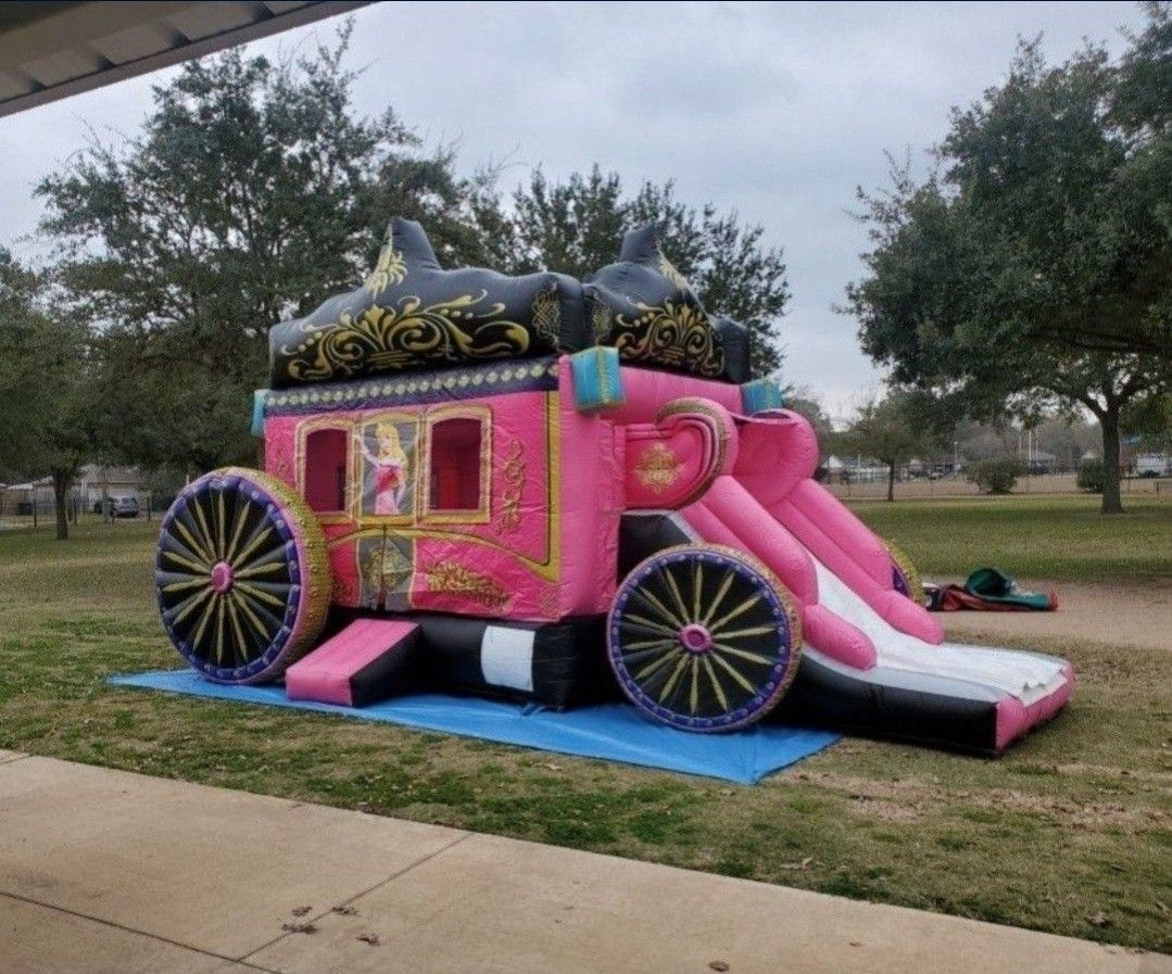 ‼️Princess Carriage Moonwalk‼️