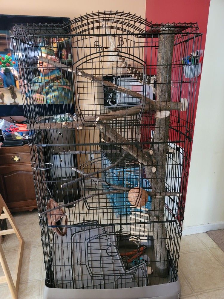 Large Cage 