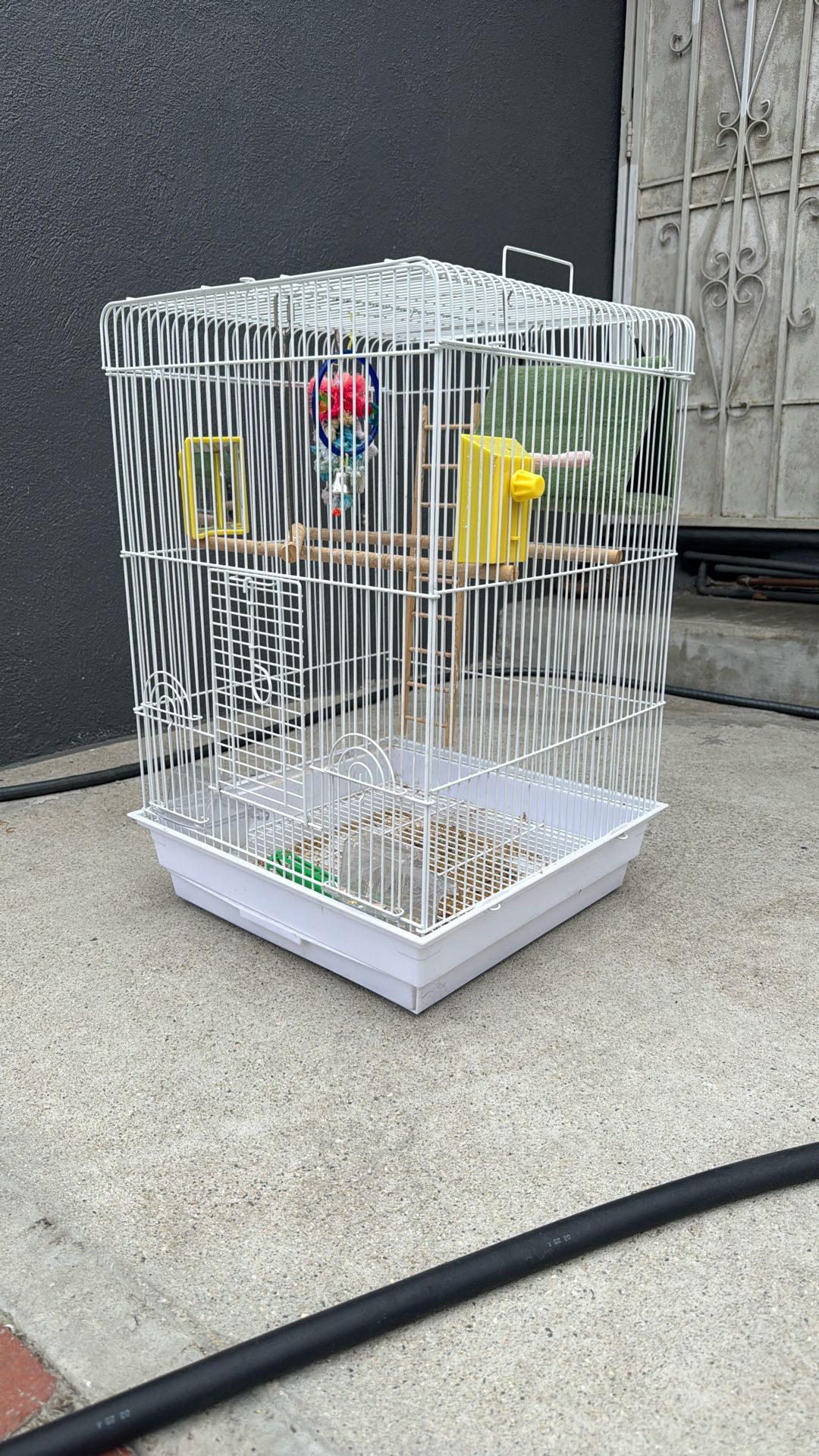 Bird Cage