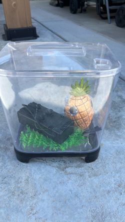 Fish tank, with lights and supplies
