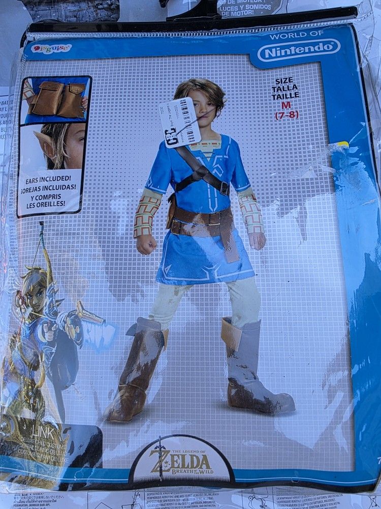 Link Costume Zelda