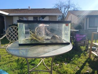 40 Gallon Breader Size Glass Reptile Tank