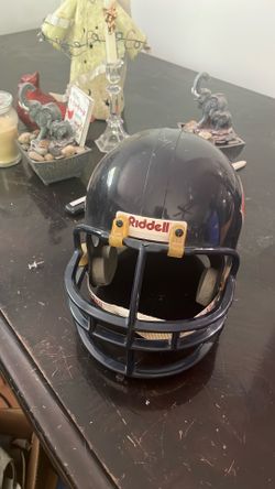 Bears Helmet