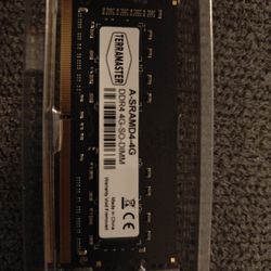 Terramaster DDR4 SO-DIMM RAM 4GB