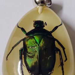 LUCKY SECURITY MASCOT**GLOW** New Green Rose Chafer Beetle Insect Specimen Pendant Charm.16 Grams. 55X30 mm.