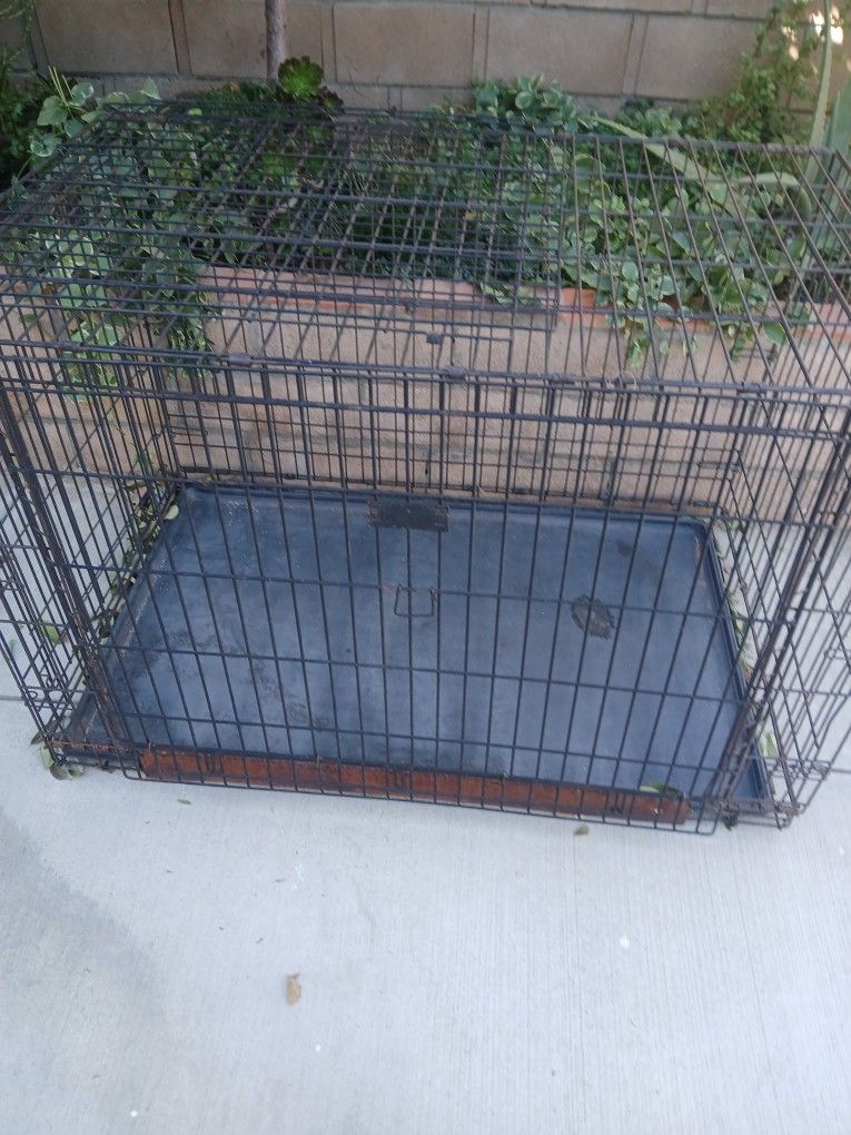 Dog Crate Jaula Para Perro