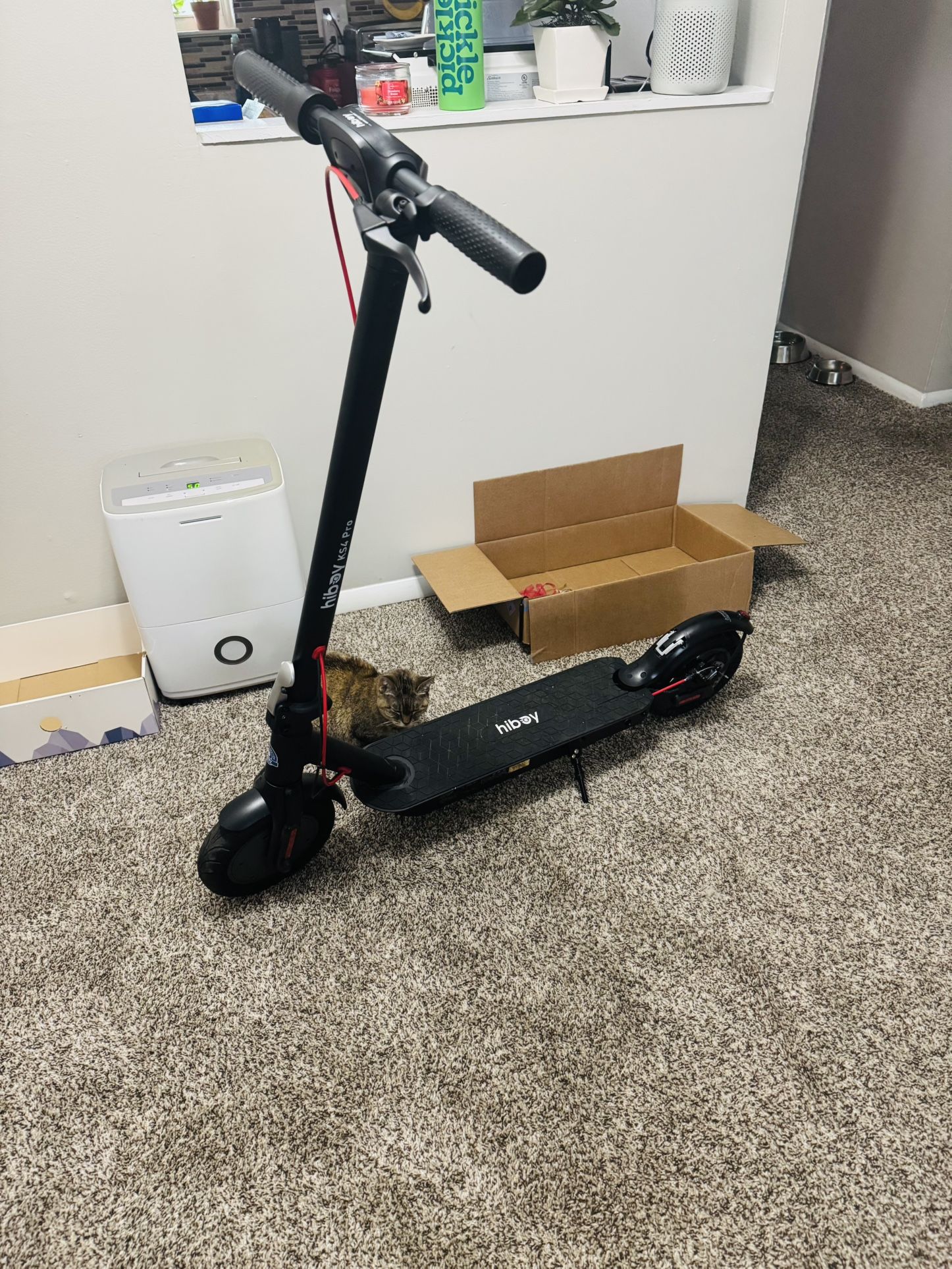 Hiboy Electric Scooter