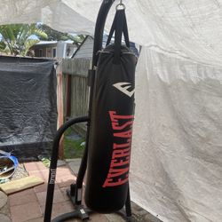 Everlast Punching Bag  And Stand 