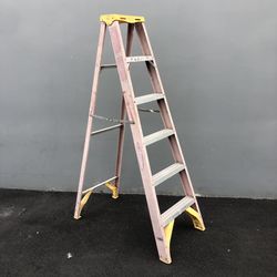 Werner Ladder 