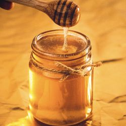 Raw Fresh Honey For Sale