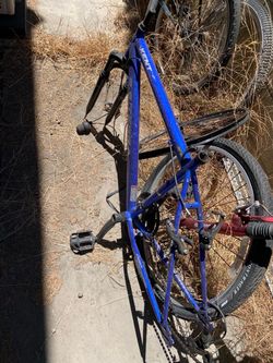 Bicycle