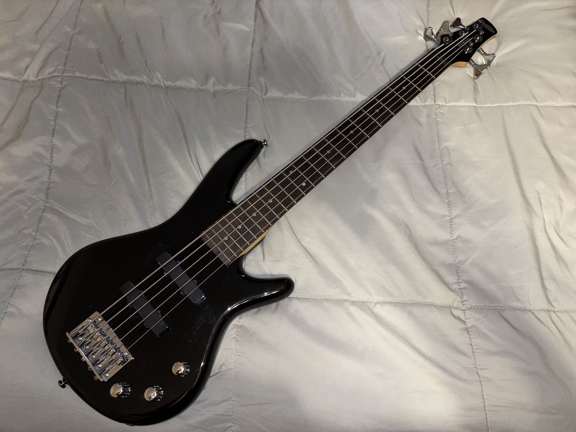 Ibanez GSRM25 5 String Bass