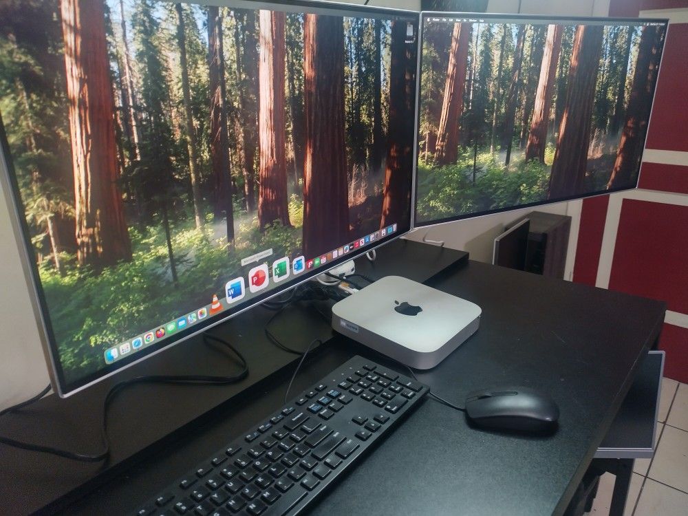 Apple Mac Mini System $200 - Dual 24 Widescreens - Complete $200