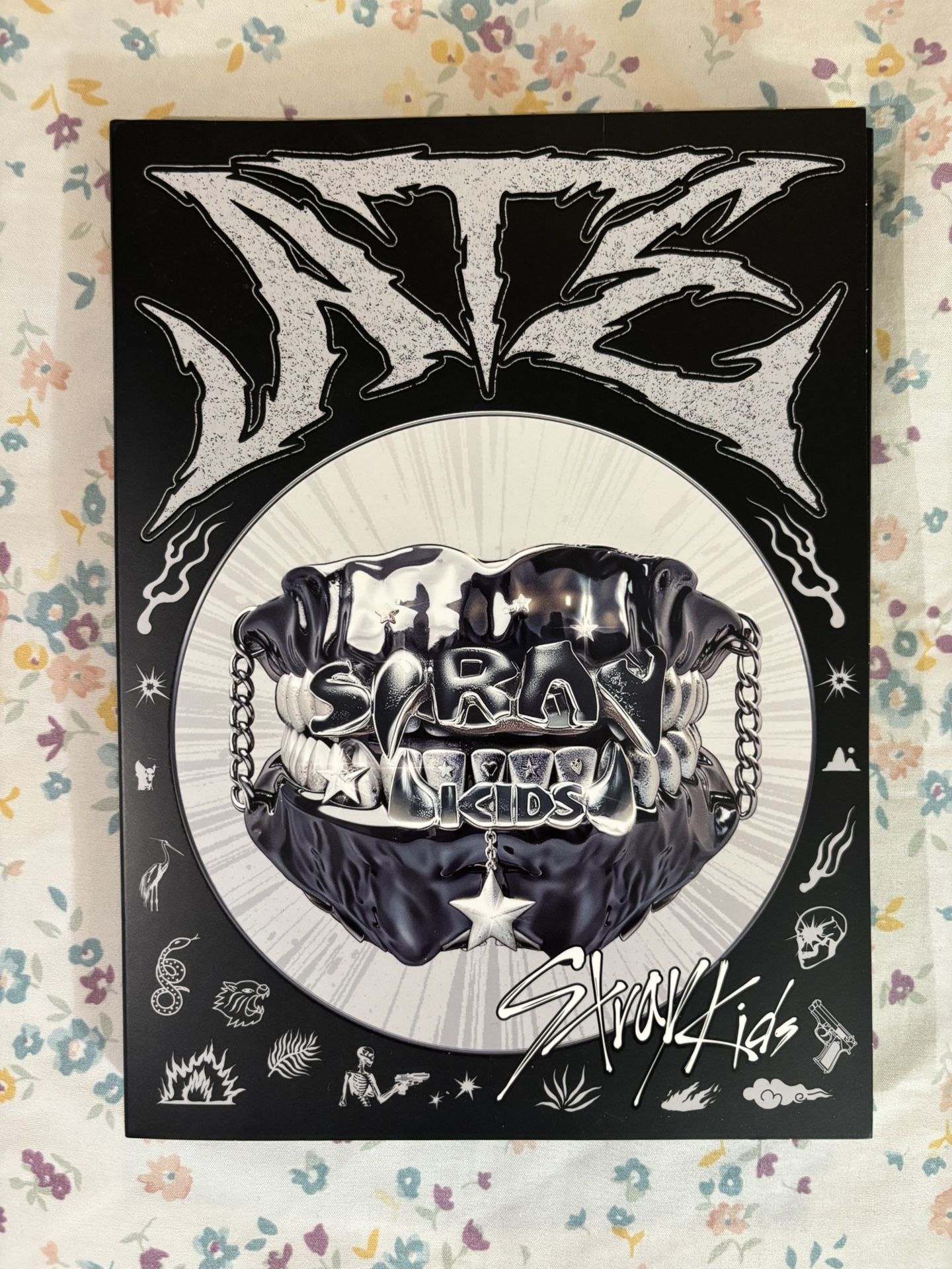 Kpop Stray Kids Album 