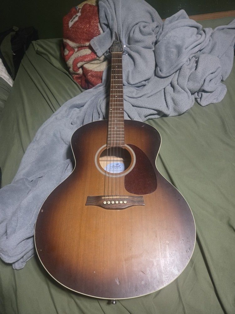 Seagull Entourage Acoustic Guitar