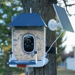 NEW Bird Feeder, Smart Bird Feeder W/ Camera & Solar Powered, AI Identify !