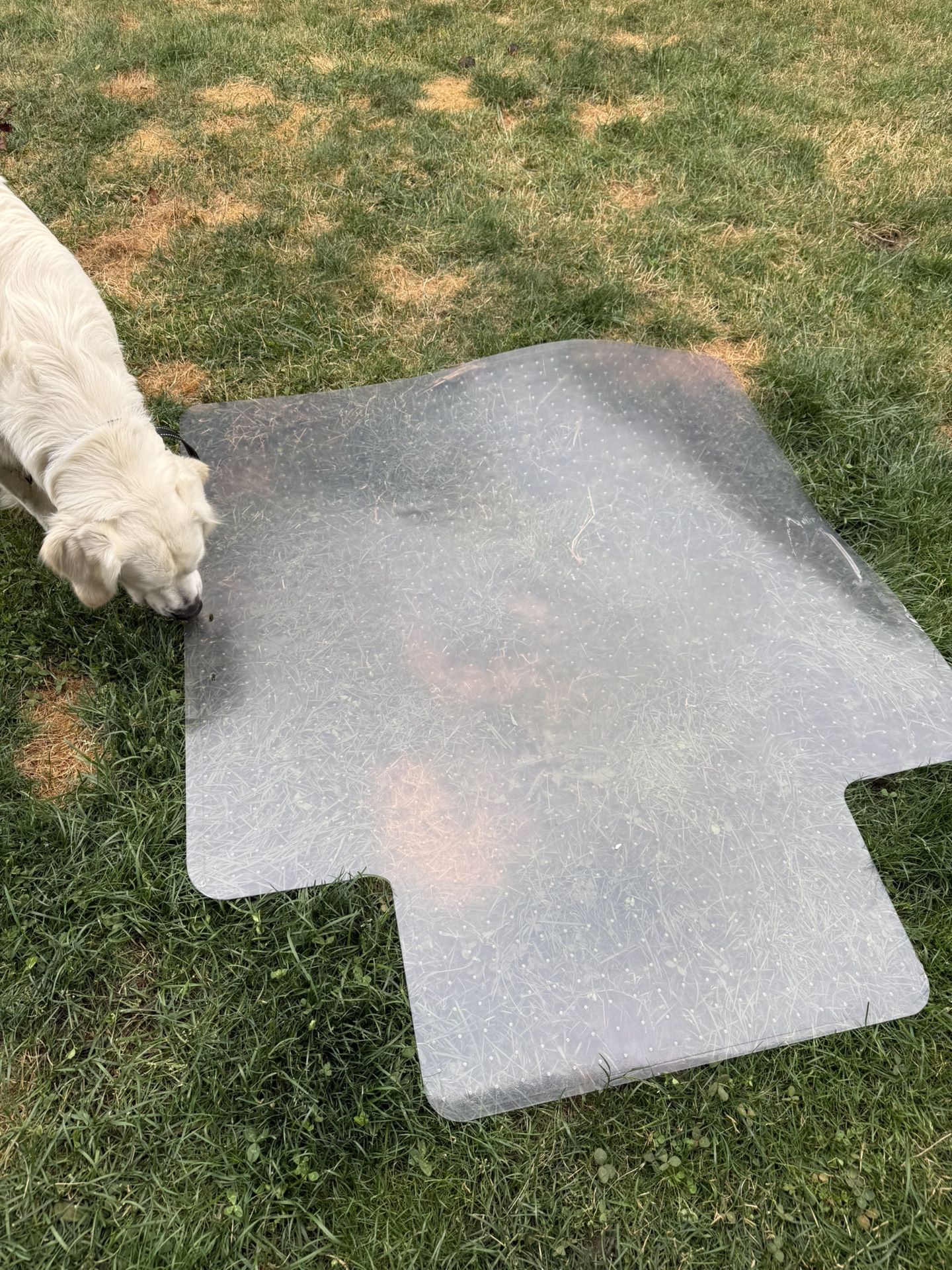 Free Chair Mat