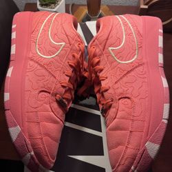 Nike Book 1 Size 11.5