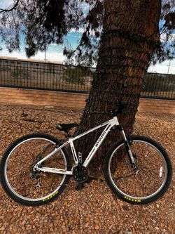 Wheelie bike converted mountain bike