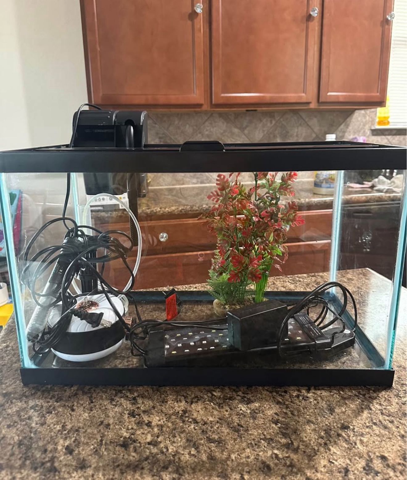 Fish Tank