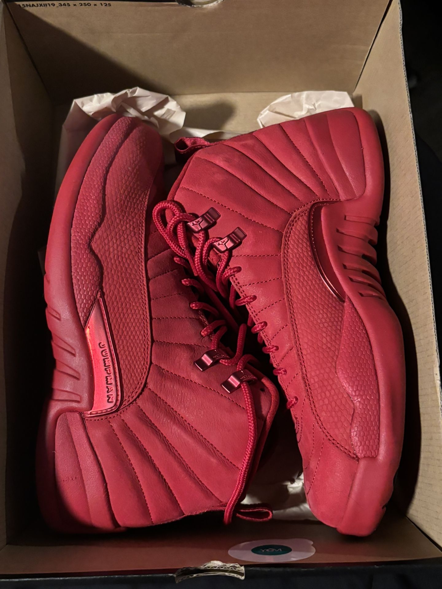 Jordan Retro 12
