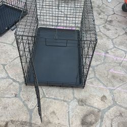 Large Dog Crate