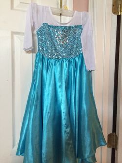 Frozen Dress Costume