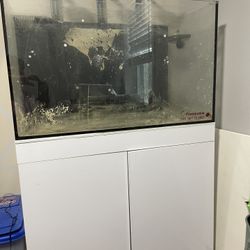 60g AIO Rimless Tank 