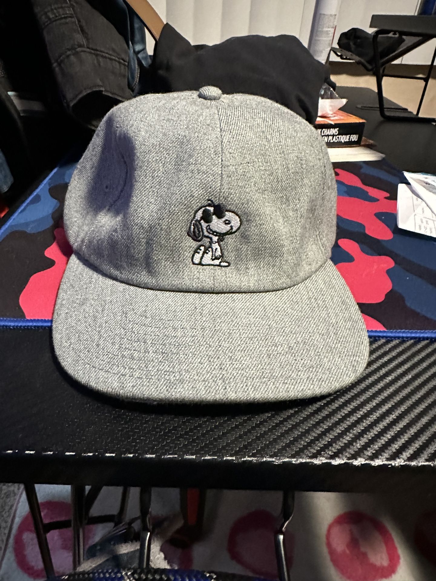 Snoopy Vans Gray Hat