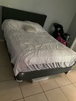 Queen Mattress, Box Spring, and Headboard