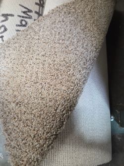8' 8" x 15, High-Quality New Plush Carpet Roll, Color Name: Mystic Manor Cosmo Paradise