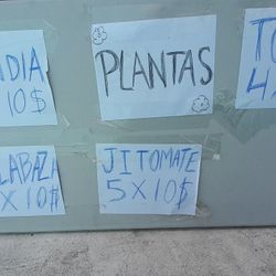 🍅🍅JITOMATES 🍉🍉🍉SANDIA 🍈🍈TOMATE🥒🥒CALABASITAS 🎃🎃CALABAZA