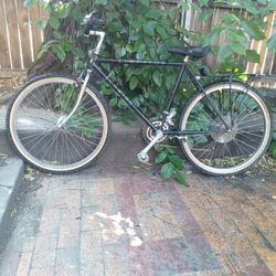 1988 Schwinn Cimarron 