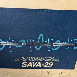 Sony SAVA-29 Active Speaker System