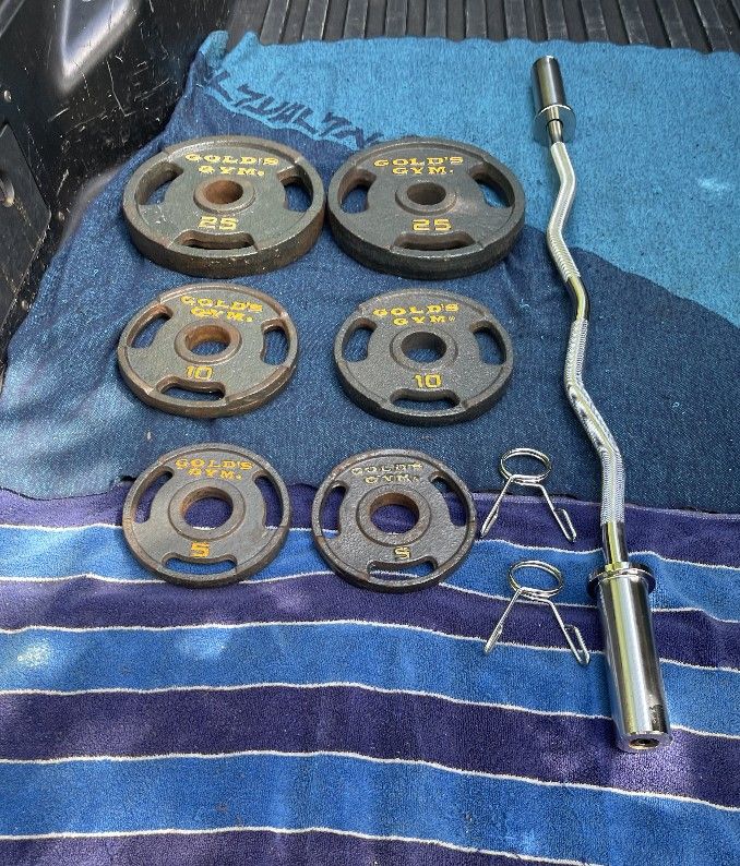 GOLDS GYM  80 LBS.  OLYMPIC PLATES  +  NEW  OLYMPIC  EZ  CURL  BAR   (PAIRS OF)  :  25s  10s  5s 