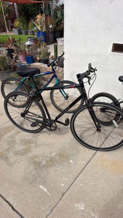 Fixie Bike with Brakes
