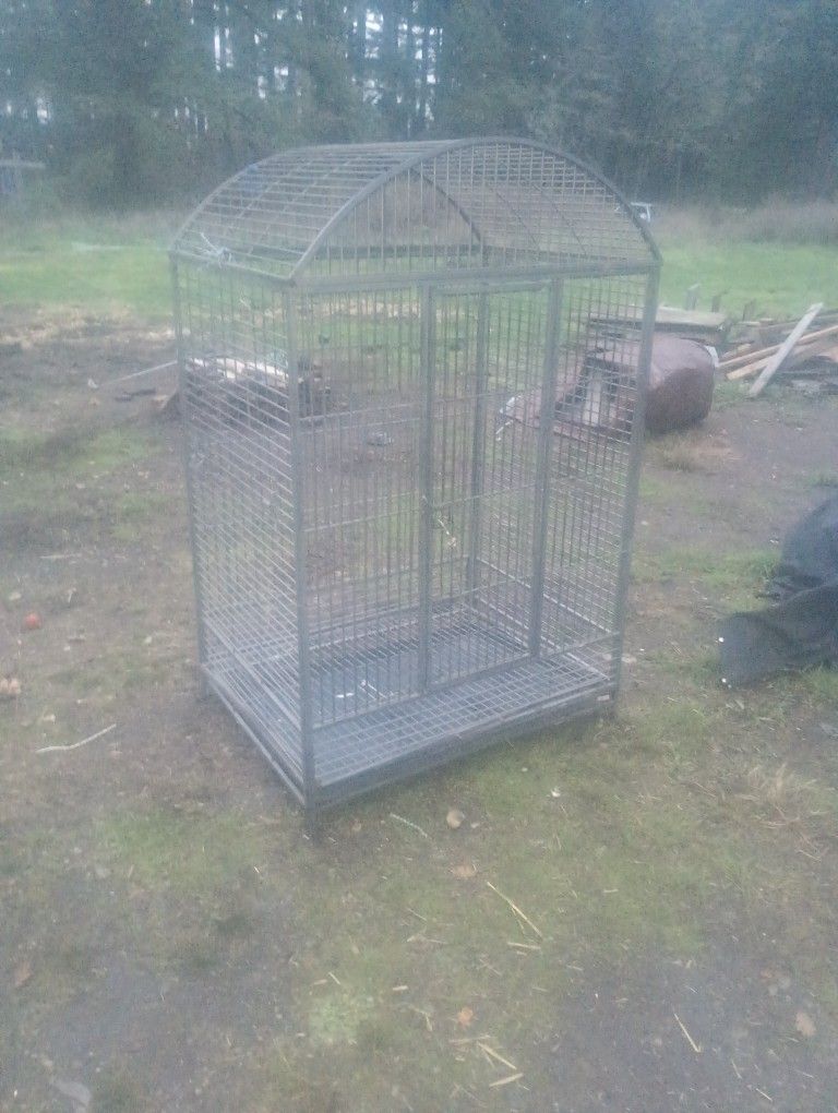 Bird Cage