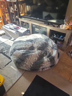 Big fur beanbag