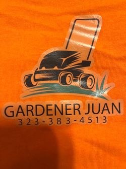 Juan Guerra
