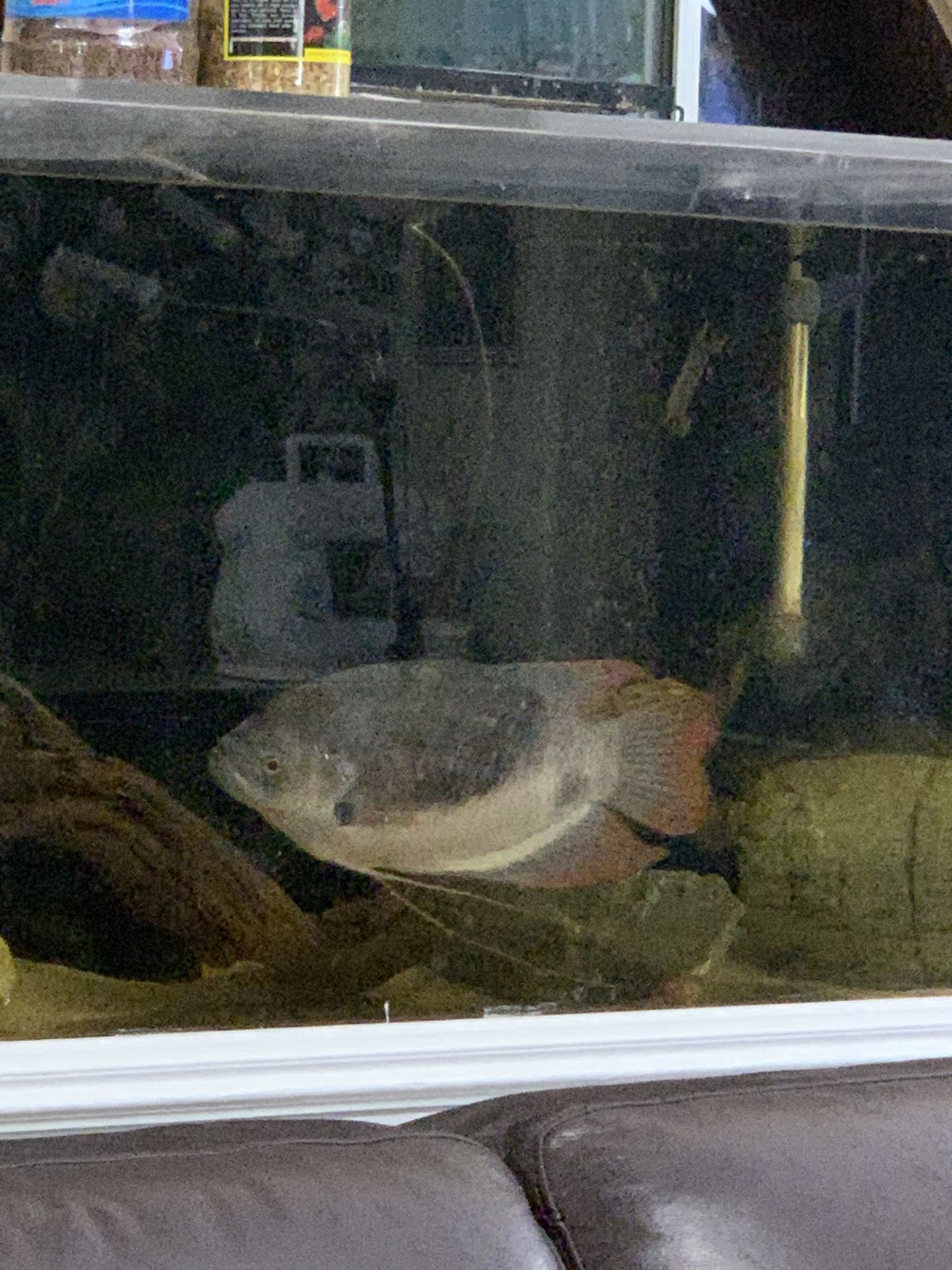 Fish Tank Decoration.