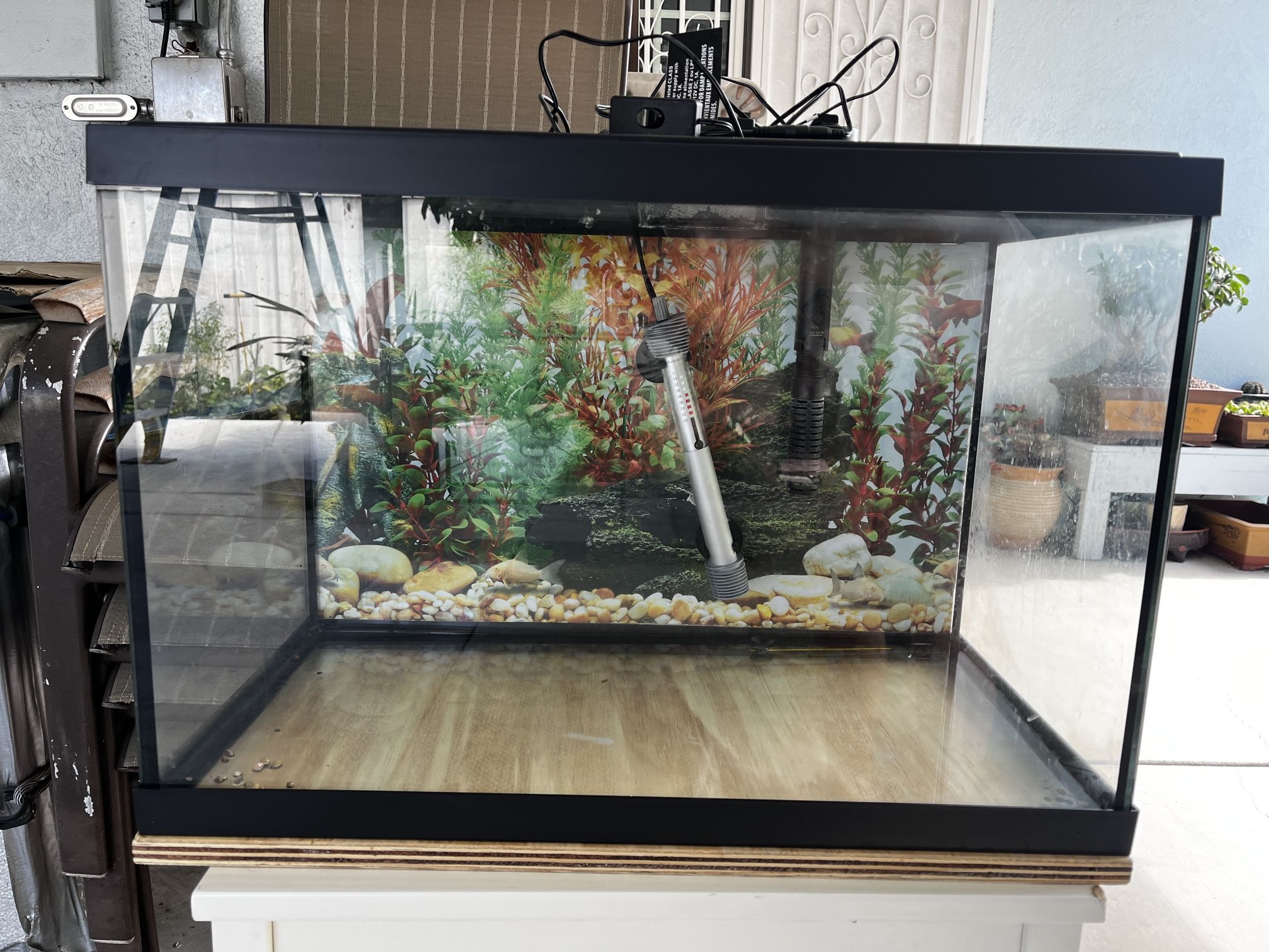 20 Gallon Fish Tank
